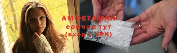 прущие грибы Медвежьегорск