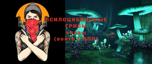 apvp Магас