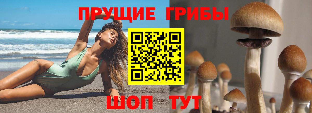 Псилоцибиновые грибы GOLDEN TEACHER Избербаш