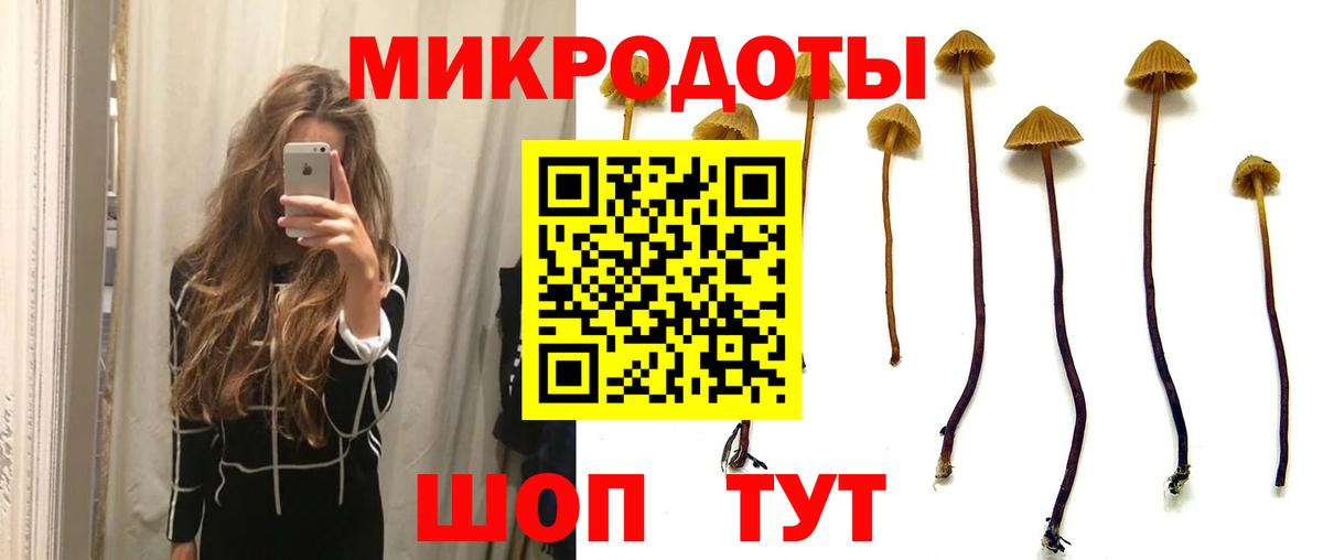 Галлюциногенные грибы прущие грибы Избербаш